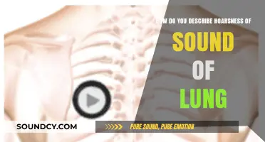 Understanding Hoarseness in Lung Sounds: A Comprehensive Guide for Diagnosis
