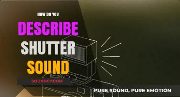 Capturing the Essence: Describing the Unique Shutter Sound in Photography