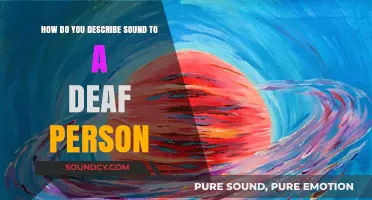 Painting Vibrations: Describing Sound to a Deaf Person Through Senses and Emotion
