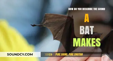 Decoding the Unique Echolocation Chirps: How Bats Communicate in the Dark