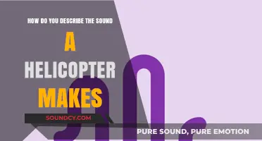 Decoding the Distinctive Chopping and Whirring of Helicopter Sounds