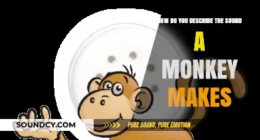 Unraveling the Unique Vocalizations: How to Describe a Monkey's Sound