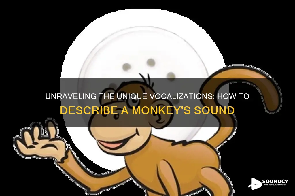 how do you describe the sound a monkey makes