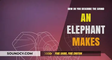 Unraveling the Majestic Trumpet: How Elephants Communicate Through Unique Sounds