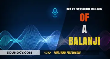 Unveiling the Mystical Sound of a Balanji: A Sonic Exploration