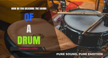 Exploring the Rich, Resonant, and Rhythmic Sound of a Drum