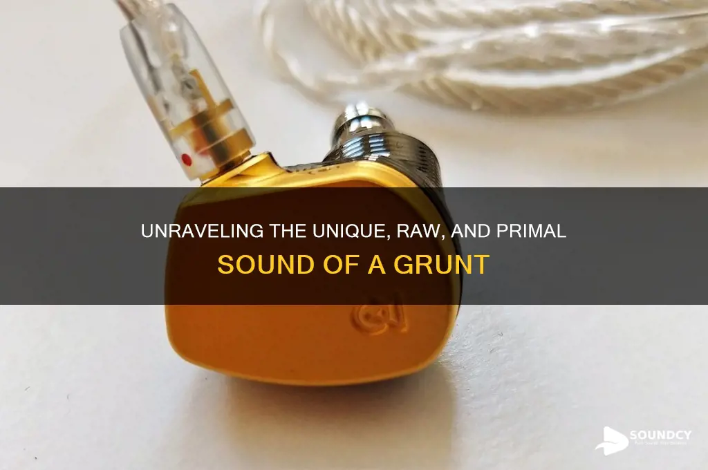 how do you describe the sound of a grunt