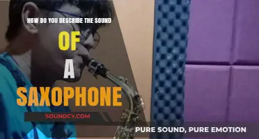The Soulful Saxophone: Unraveling Its Unique, Expressive, and Captivating Sound