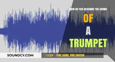 Exploring the Bright, Bold, and Vibrant Sound of a Trumpet