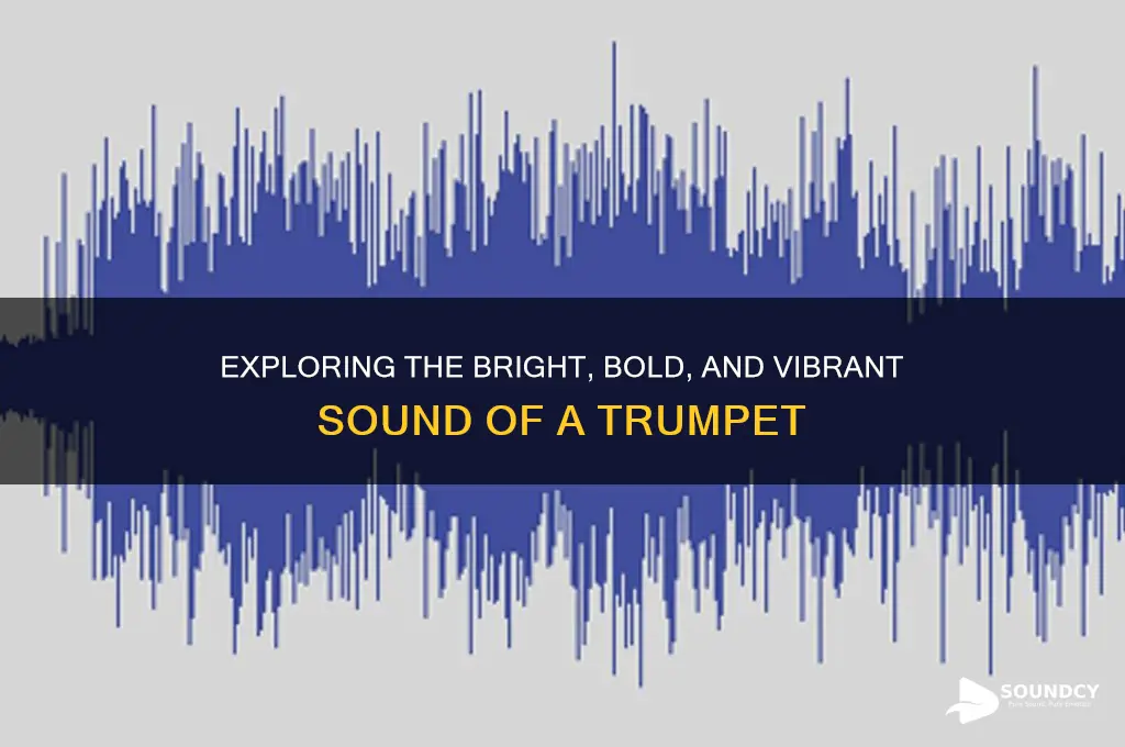 how do you describe the sound of a trumpet