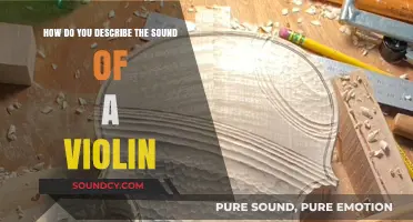 The Soulful, Melodic, and Expressive Voice of the Violin Explained