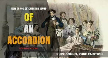 The Unique, Harmonious, and Expressive Sound of the Accordion Explained