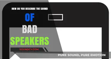 Distorted, Muffled, and Harsh: Decoding the Unpleasant Sound of Bad Speakers