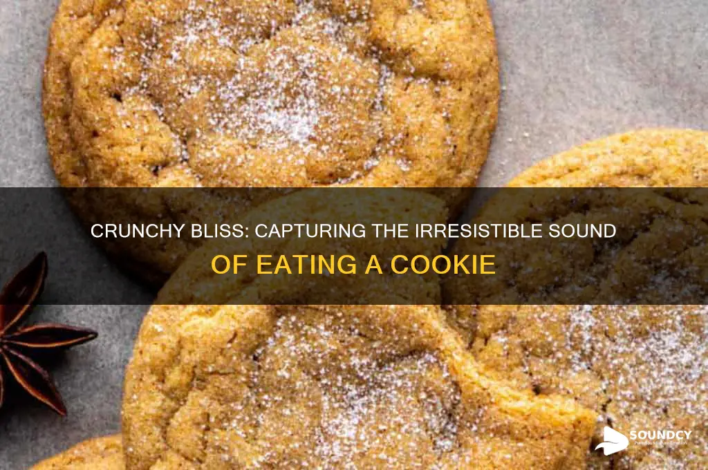 how do you describe the sound of eating cookie