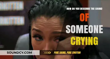 The Haunting Melody: Describing the Raw, Emotional Sound of Tears