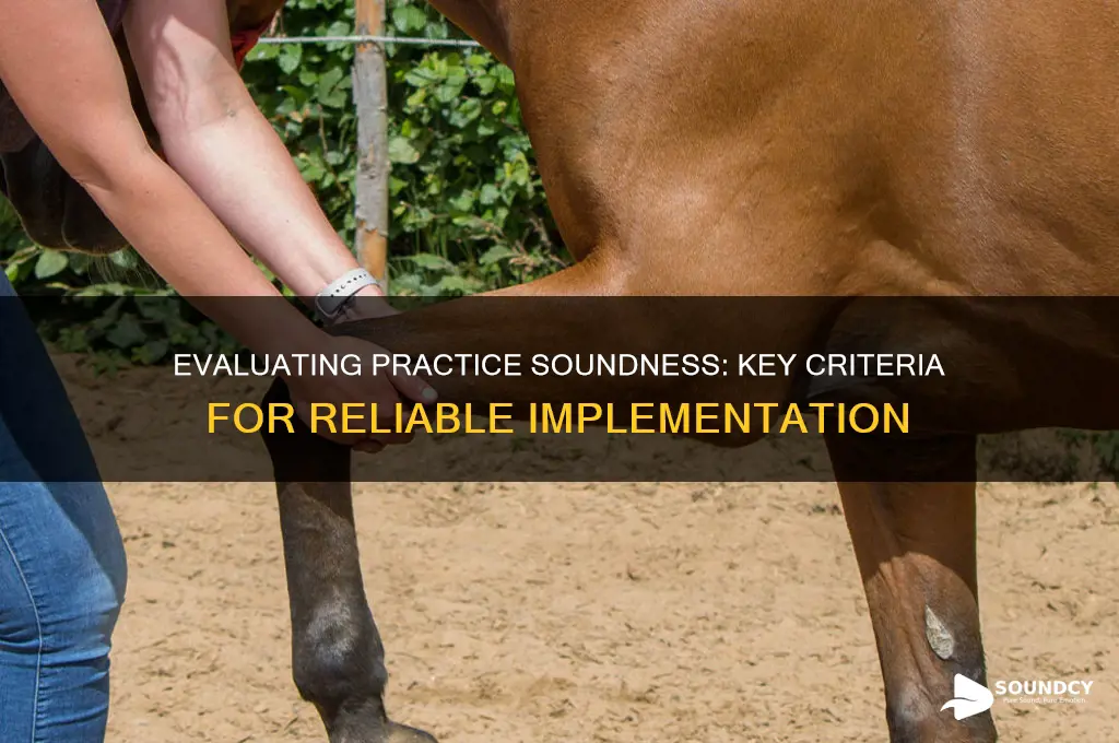 how do you determine the soundness of a practice