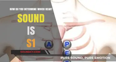 Identifying S1 Heart Sound: Key Characteristics and Diagnostic Techniques