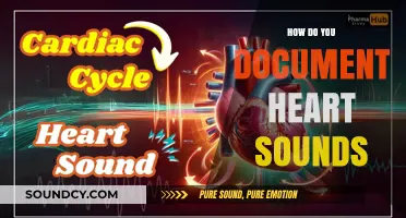Mastering Heart Sound Documentation: Techniques, Tools, and Best Practices