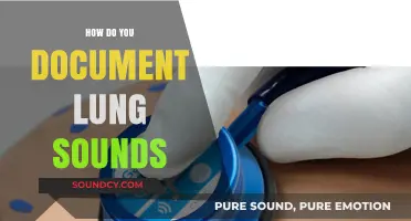 Mastering Lung Sound Documentation: Techniques, Tools, and Best Practices