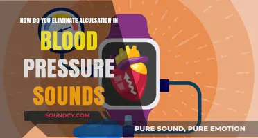 Eliminating Artifacts in Blood Pressure Sounds: Techniques for Accurate Readings