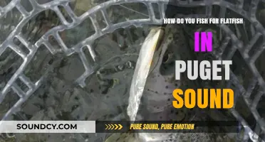 Mastering Puget Sound Flatfish Fishing: Techniques, Gear, and Prime Spots