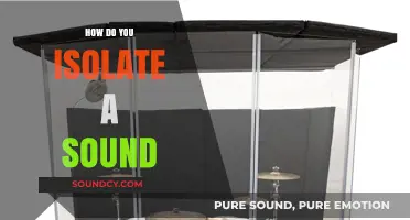 Mastering Sound Isolation: Techniques to Capture Pure Audio in Any Environment