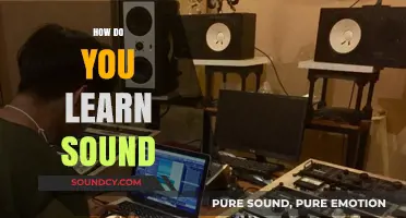 Mastering Sound: Techniques and Tips for Effective Learning and Understanding