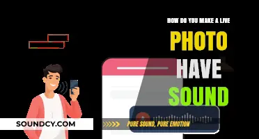 Add Audio to Live Photos: A Simple Guide to Enable Sound