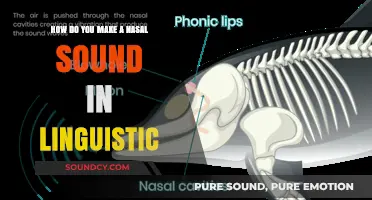 Mastering Nasal Sounds: Techniques and Tips for Linguistic Clarity