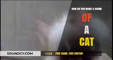 Mastering the Art of Creating a Realistic Cat Sound Effect