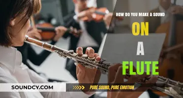 Mastering Flute Sounds: Techniques for Clear and Beautiful Melodies