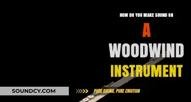 Mastering Woodwind Sound: Techniques for Producing Rich Tones and Melodies