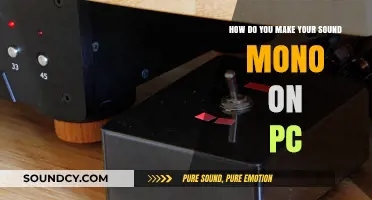 How to Convert Stereo Audio to Mono on Your PC Easily