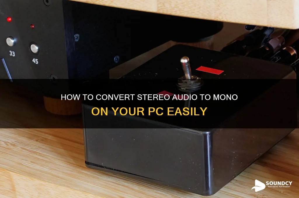 how do you make your sound mono on pc