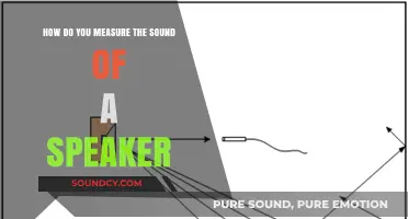 Measuring Speaker Sound Quality: Techniques and Tools for Accurate Assessment