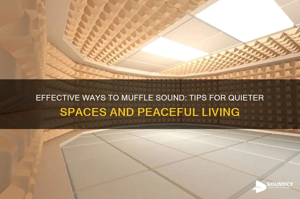 how do you muffle sound