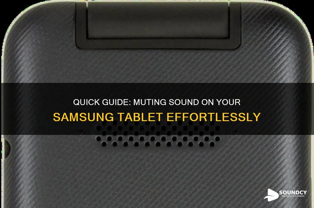 how do you mute sound on a samsung tablet