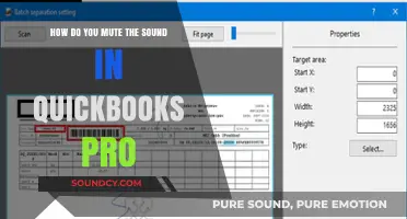 QuickBooks Pro: Simple Steps to Mute Sound in Your Software