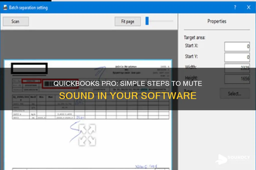how do you mute the sound in quickbooks pro