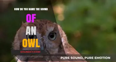 Unveiling the Mystique: Naming the Distinctive Hoots of Owls