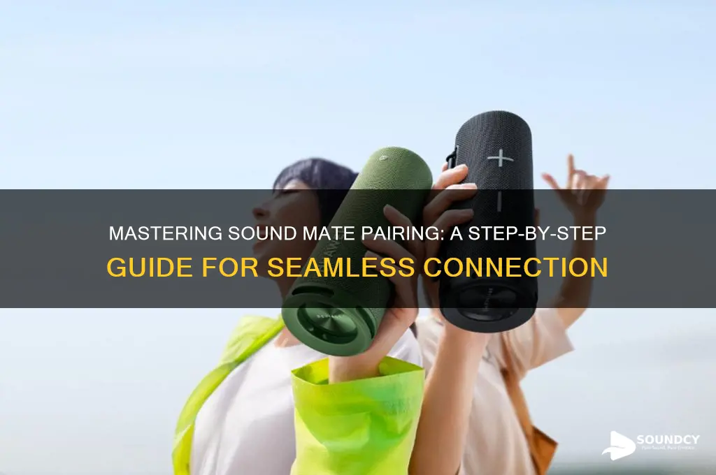 how do you pair sound mates