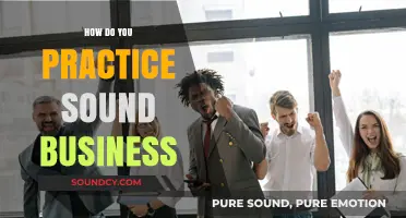 Mastering Sound Business Practices: Strategies for Sustainable Success and Growth
