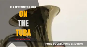 Mastering the Tuba: Techniques to Produce Rich, Resonant Sounds Effortlessly