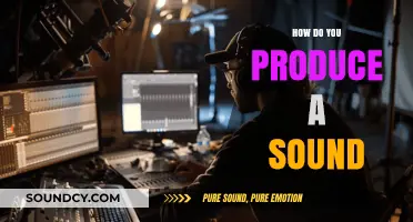 Understanding Sound Production: Mechanics, Techniques, and Creative Applications