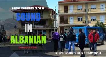 Mastering the Albanian 'Zh' Sound: A Pronunciation Guide for Beginners