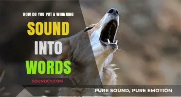 Capturing the Whine: Translating That High-Pitched, Annoying Sound into Words
