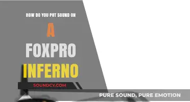 Adding Sound to Your FoxPro Inferno: A Step-by-Step Guide