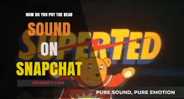 Add Bear Sound to Snapchat: Easy Steps for Fun Snaps