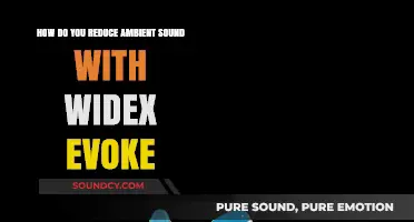 Reduce Ambient Noise: Widex Evoke's Sound-Canceling Features Explained