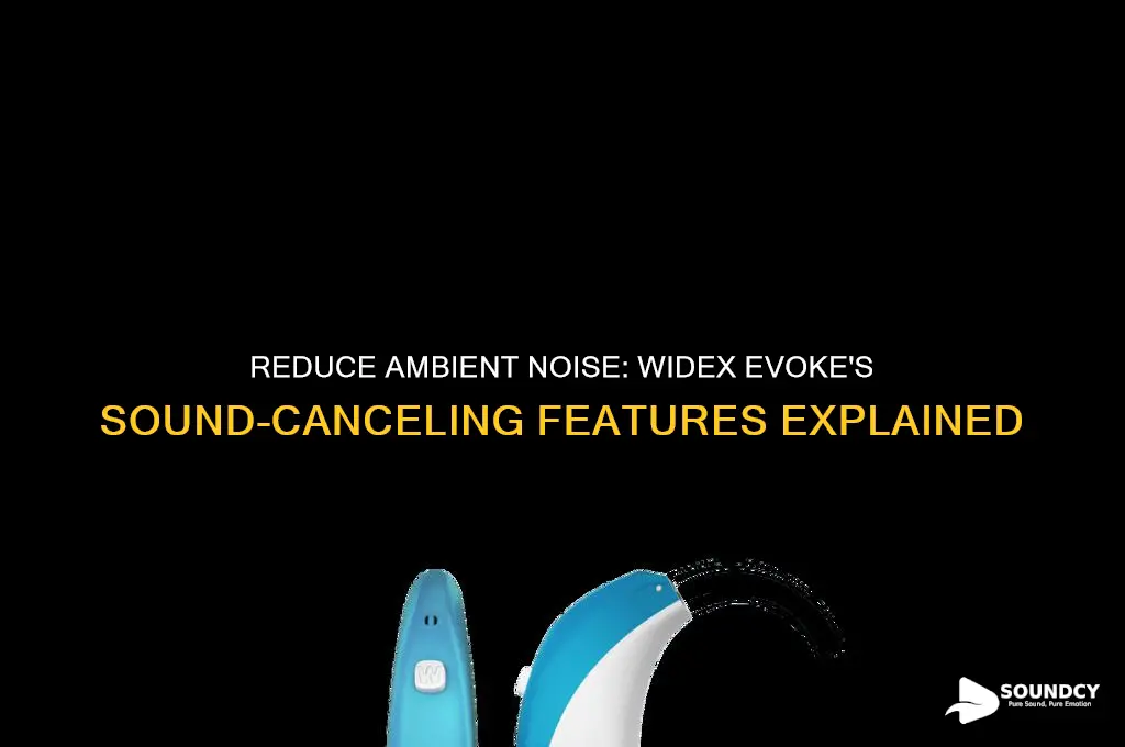 how do you reduce ambient sound with widex evoke